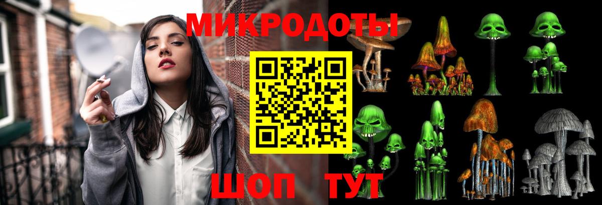 Галлюциногенные грибы Psilocybe  Псилоцибиновые грибы прущие грибы  Вход с VPN  Нижневартовск 